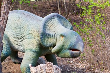 Hayvanat bahçesindeki beyaz bir gergedanın yakın plan fotoğrafı.