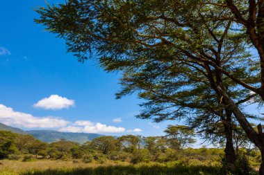 Dağların güzel manzarası