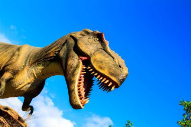 Parktaki bir ejderhanın yakın plan fotoğrafı.