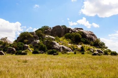 Doğanın güzel manzarası