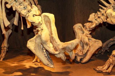 Ortaçağ şatosunun eski heykeli