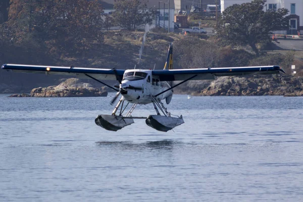 Victoria Canada 2016年8月11日 港内の水上飛行機の交通 この輸送は非常に重要で バンクーバーとの間で頻繁に行われ 飛行も非常に写真です — ストック写真