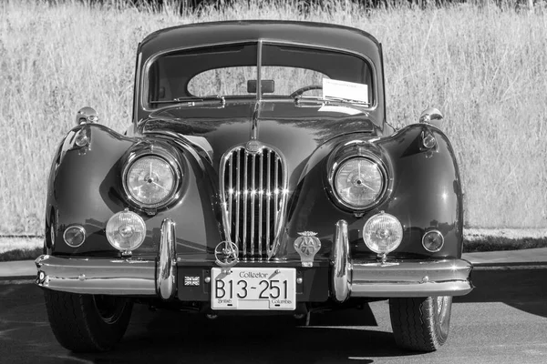 Tentoonstelling Van Luxe Vintage Sportieve Auto — Stockfoto