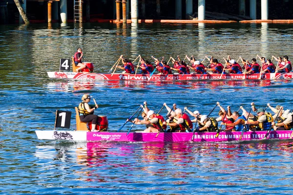 Victoria Canada Aug Den Årliga Victoria Dragon Boat Festival Victorias — Stockfoto