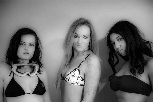 Three Sexy Young Female Models Posing Studio — стокове фото