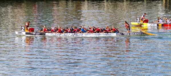 Victoria Canada Aug Den Årliga Victoria Dragon Boat Festival Victorias — Stockfoto