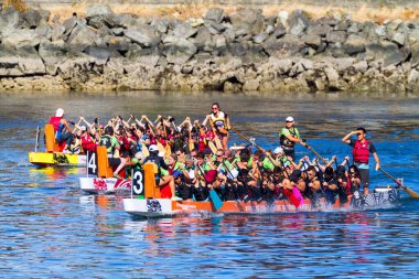 VICTORIA, CanADA - 20 AUG 17: Geleneksel Victoria Ejderha Tekne Festivali. Victoria 'nın en muhteşem yaz festivallerinden biri ve Kanada' da çalışan bir limanda gerçekleşen tek ejderha botu festivali..