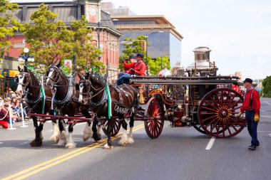 Victoria Canada - 22 Mayıs 17: Victoria 'nın en büyük geçit töreni ve Kanada ve ABD' den 100.000 'den fazla insan.