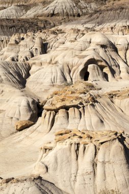 Fosil ve dinozor kemiklerinin zengin birikintilerinin bulunduğu Alberta 'daki Dinozor İl Parkı' nda Drumheller çorak arazileri. Park artık UNESCO 'nun Dünya Mirası Bölgesi oldu..
