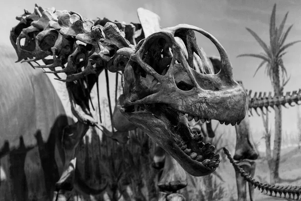 Drumheller Canada March 2016 Royal Tyrrell Museum 这个博物馆以其古生物学研究和130 000具化石而闻名 — 图库照片