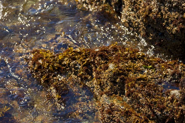 Mořská Voda Kameny Kameny — Stock fotografie