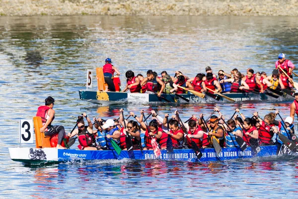 Victoria Canada Aug Den Årliga Victoria Dragon Boat Festival Victorias — Stockfoto