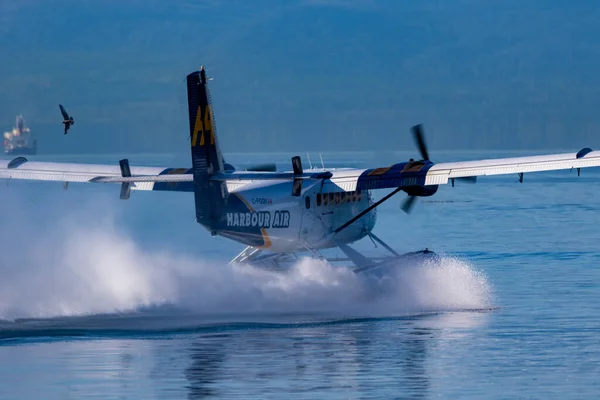 Victoria Canada 2016年8月11日 港内の水上飛行機の交通 この輸送は非常に重要で バンクーバーとの間で頻繁に行われ 飛行も非常に写真です — ストック写真