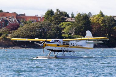 Victoria, BC, Canada - Jun 21 2019: Harbor Air Float-plane in the inner harbor. This transportation is vital and very frequent between Victoria and Vancouver