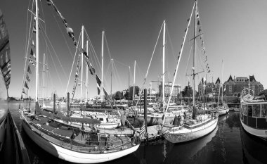 VICTORIA, BC, CANADA - SEPT 2, 2017: Victoria Klasik Tekne Festivali 'ne yanaşan vintage botlar