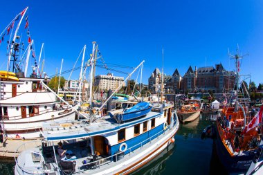 O gün şehrin limanında yatlar vardı.