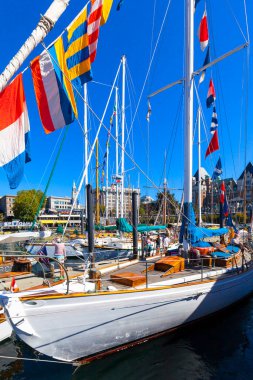 Güneşli bir günde yatları olan şehir limanı