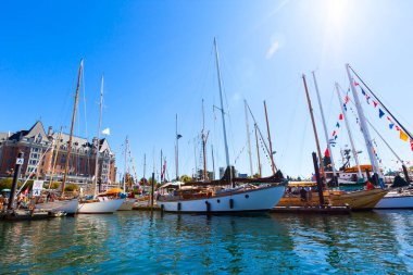 O gün şehrin limanında yatlar vardı.