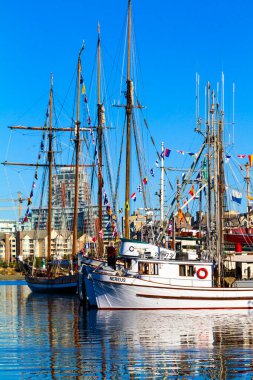 O gün şehrin limanında yatlar vardı.