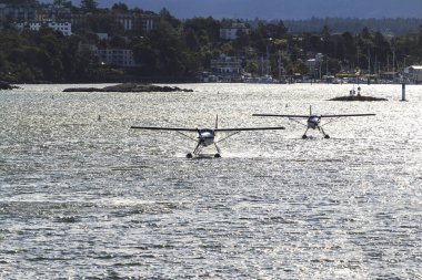 VICTORIA, BC, CanADA - 11 AUG 2016. İç limanda yüzen uçak trafiği. Bu ulaşım çok önemli ve Vitoria ile Vancouver arasında sıklıkla gerçekleşiyor.. 