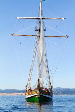 VICTORIA, CANADA -SEPT 4, 2016: Geleneksel Victoria Klasik Bot Festivali Kanada, ABD 'den çok sayıda ev sahibi ve ziyaretçi çekiyor. Son günde sergilenen ve yelken açan birçok el işi var.. 