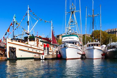 O gün şehrin limanında yatlar vardı.