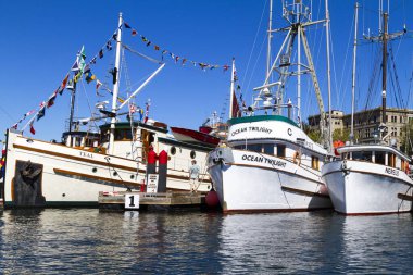 O gün şehrin limanında yatlar vardı.