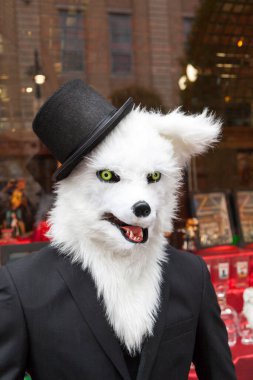 Beyaz kurt kostümlü insan portresi
