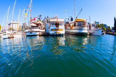O gün şehrin limanında yatlar vardı.