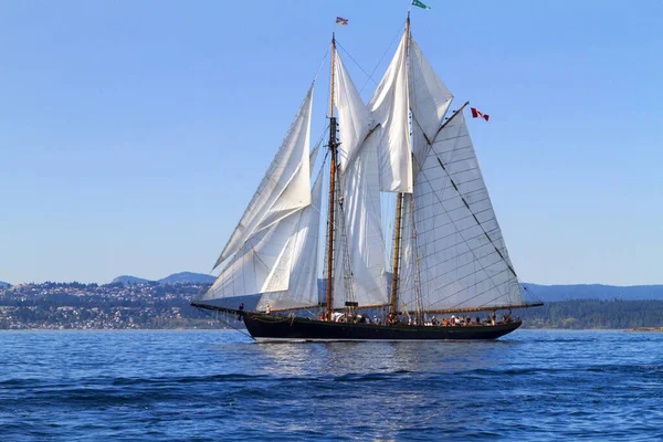 Victoria Canada Sept 2016 Jaarlijks Victoria Classic Boat Festival Trekken — Stockfoto