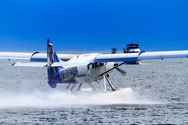 Victoria Kanada Jun 2019 Harbor Air Float Plan Inre Hamnen — Stockfoto
