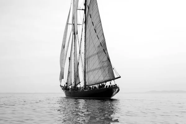海に浮かぶ帆船は — ストック写真