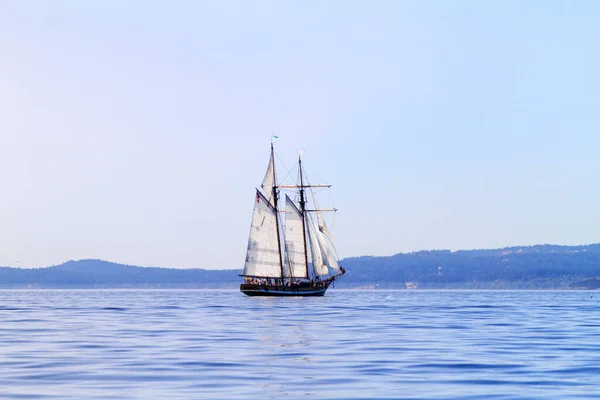 Victoria Canadá Septiembre 2016 Festival Anual Barcos Clásicos Victoria Atraer — Foto de Stock