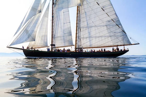 Victoria Canada Sept 2016 Jaarlijks Victoria Classic Boat Festival Trekken — Stockfoto