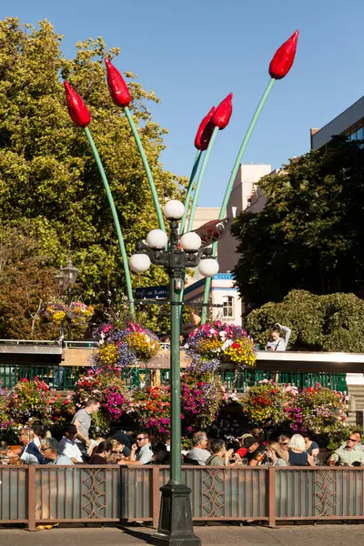 Scenic Shot People Walking Streets Victoria British Columbia Canada — Fotografia de Stock