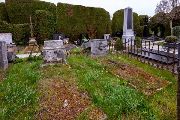 自然を背景にした公園内の美しい墓地 — ストック写真