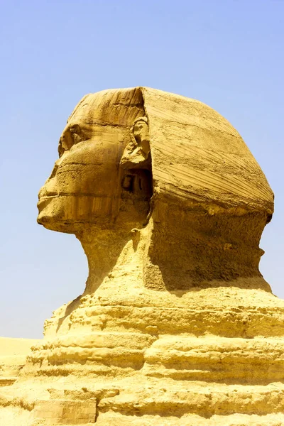 Die Sphinx Fabelwesen Mit Dem Kopf Eines Menschen Und Dem — Stockfoto