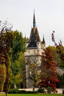 Ortaçağ şatosunun güzel manzarası.