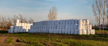 Macaristan Sanayi Panoraması