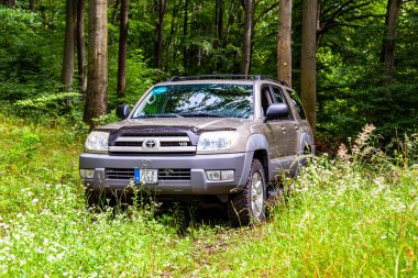 Ormanda küçük beyaz bir araba.