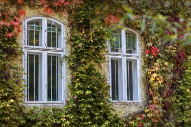 Eski evin güzel manzarası.