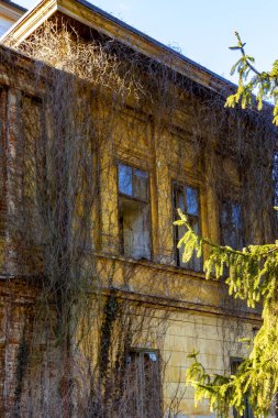 Şehirde terk edilmiş bir ev, çırılçıplak dallarla.