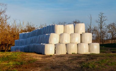 Macaristan Sanayi Panoraması