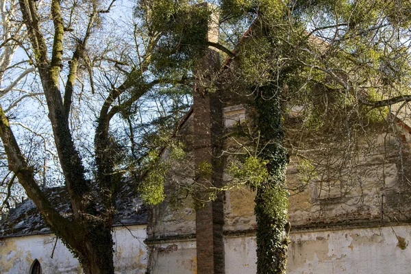 Barcs Hongrie Ruines Pays Comte Szechenyi Xviiie Siècle Printemps — Photo