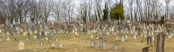 Lovasbereny Hungría Mar 2019 Lápidas Judías Antiguo Cementerio Judío Que — Foto de Stock