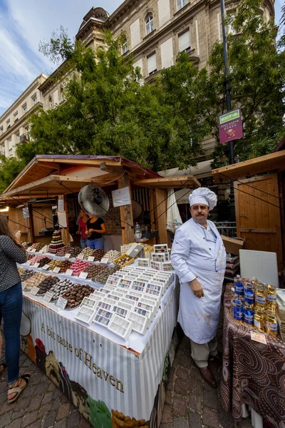 Budapest Ciudad Vista Escena Hungría — Foto de Stock