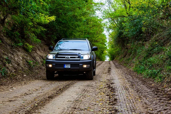 Coche Carretera Bosque — Foto de Stock