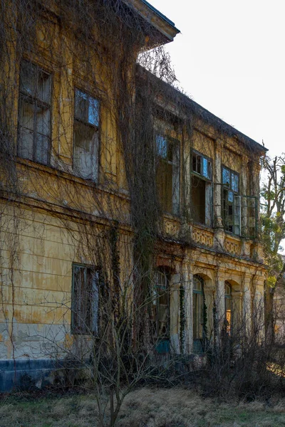 Casa Abandonada Ciudad Con Ramitas Desnudas — Foto de Stock