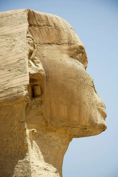 Die Sphinx Fabelwesen Mit Dem Kopf Eines Menschen Und Dem — Stockfoto