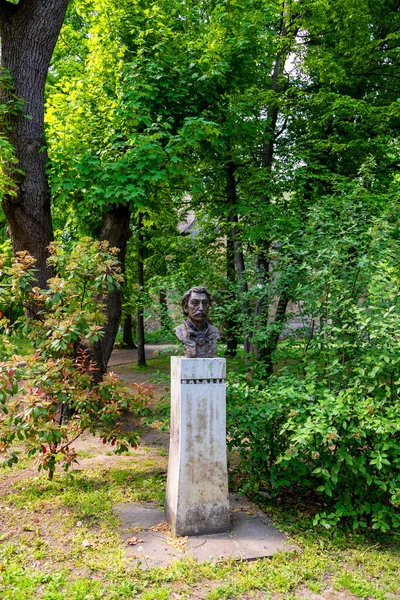 Alte Statue Des Mannes Park Bei Sonnigem Tag — Stockfoto